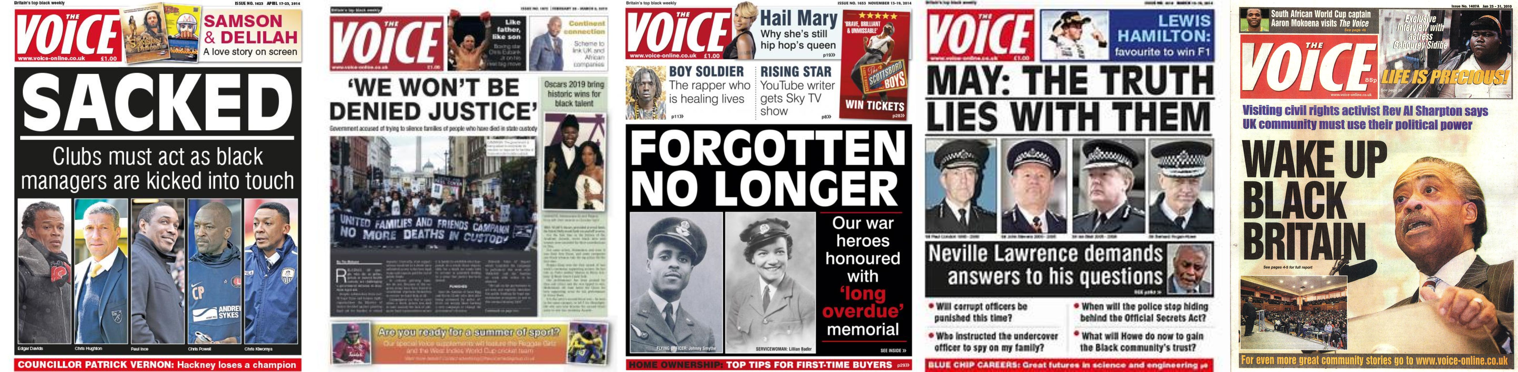 This image has an empty alt attribute; its file name is the-voice.jpg