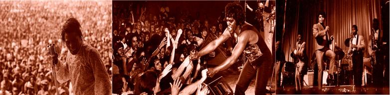 This image has an empty alt attribute; its file name is james-brown.jpg